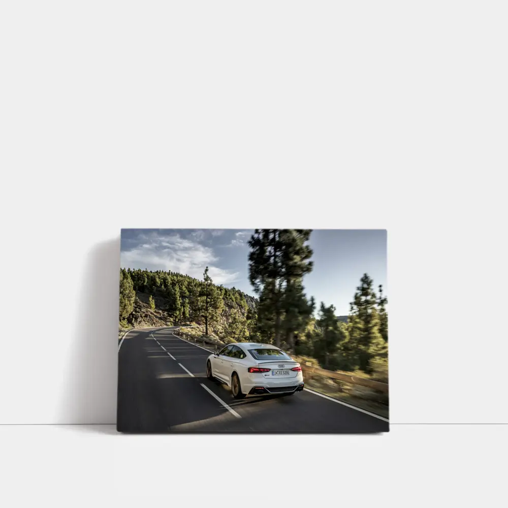 Audi RS5 Sportback White Mountain Road Drive – Wall Art