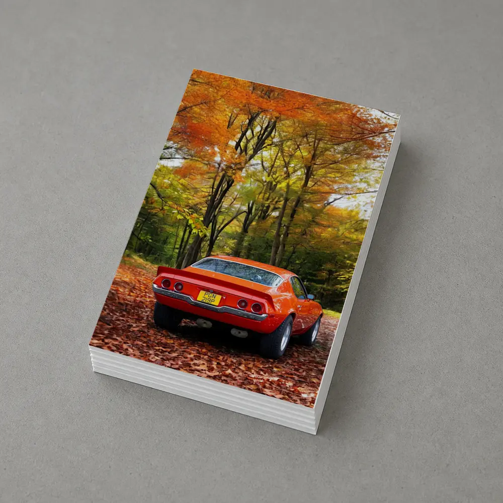 1971 Chevrolet Camaro Red Autumn Forest – Postcards