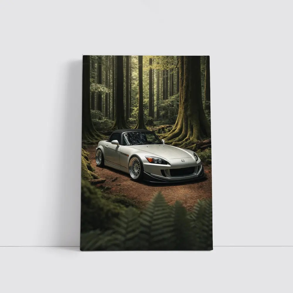 Honda S2000 Parked Deep Forest Setting – Wall Art