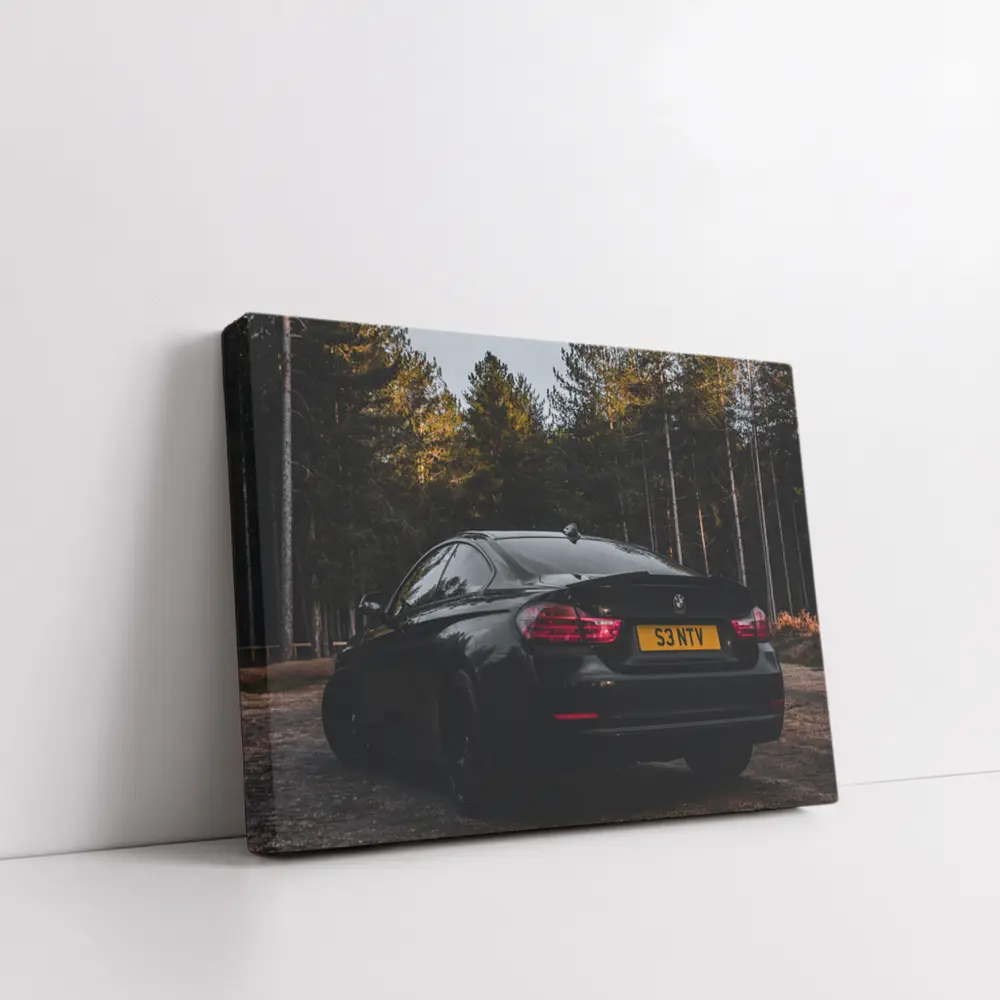 Black BMW Four Series Dark Forest Setting – Wall Art