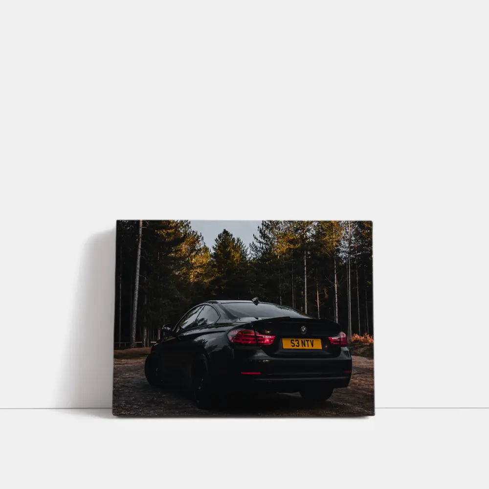 Black BMW Four Series Dark Forest Setting – Wall Art