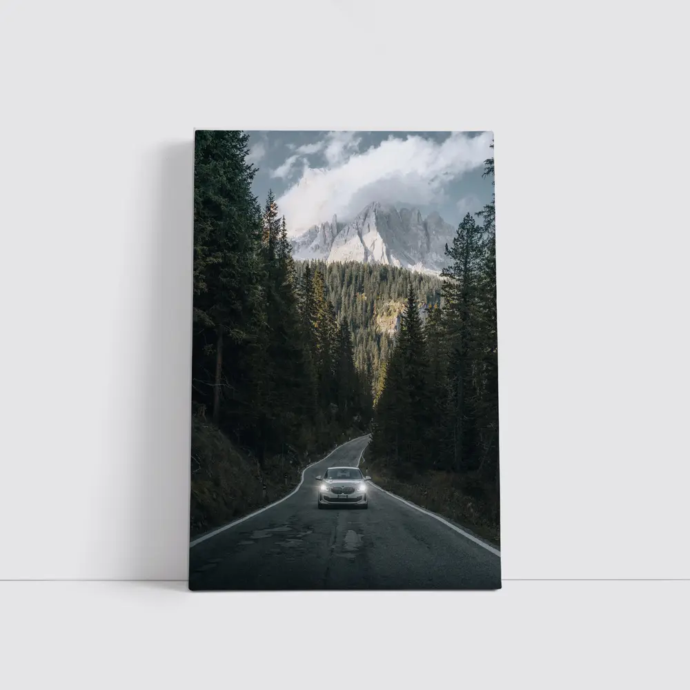 BMW Sedan Mountain Forest Road Drive – Wall Art