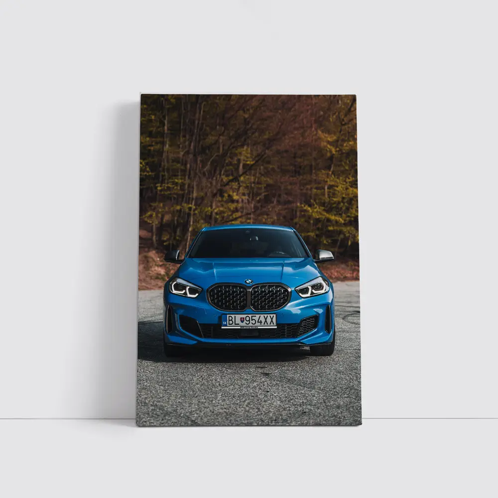 BMW One Series Blue Front Forest – Wall Art