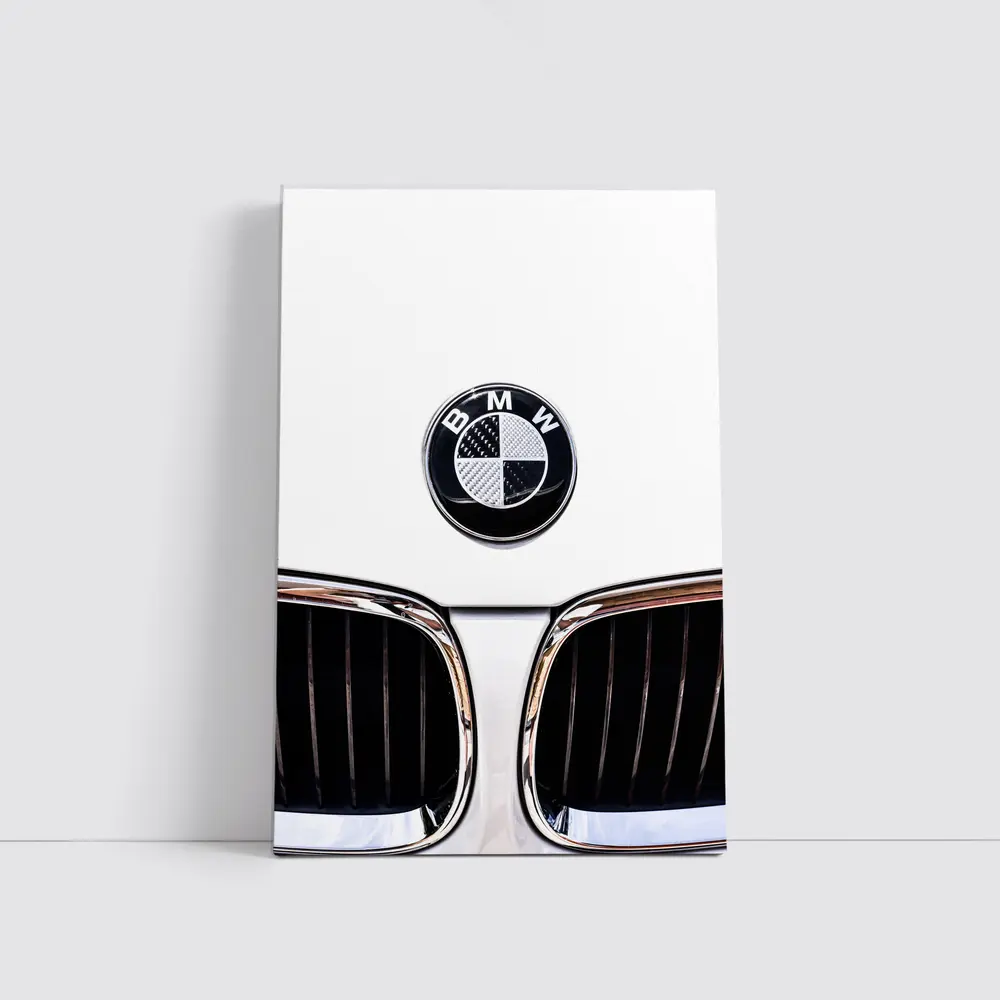 BMW Carbon Badge Chrome Kidney Grille White – Wall Art