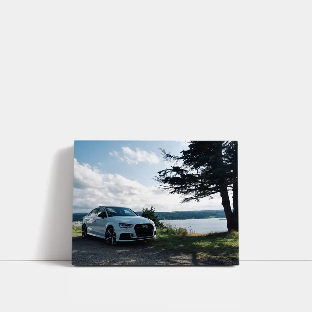 Audi RS3 White Sedan by Lakeside – Wall Art