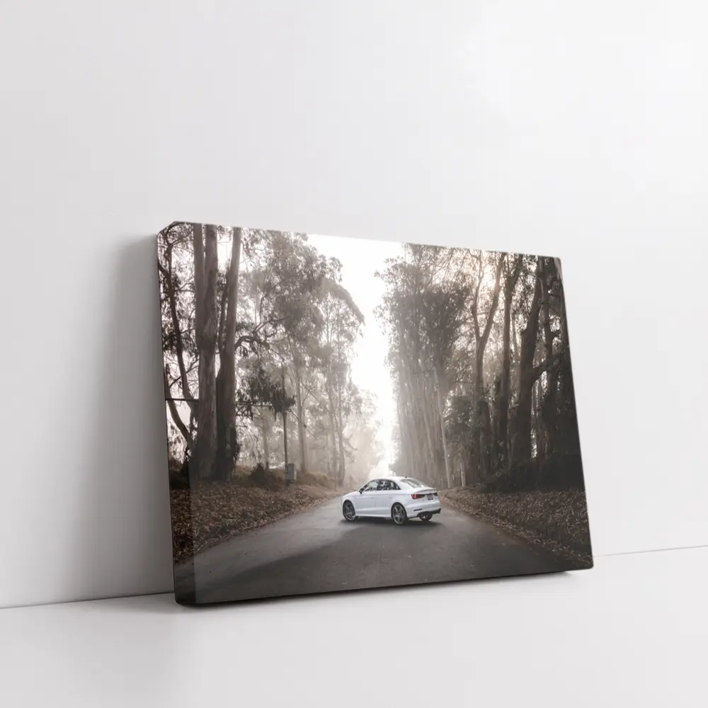 White Audi A3 on Misty Forest Road – Wall Art