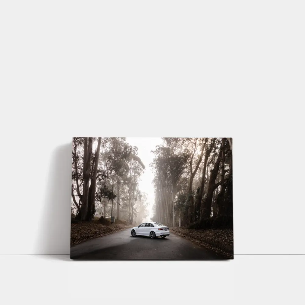 White Audi A3 on Misty Forest Road – Wall Art
