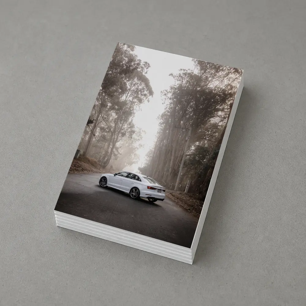 White Audi A3 on Misty Forest Road – Postcards