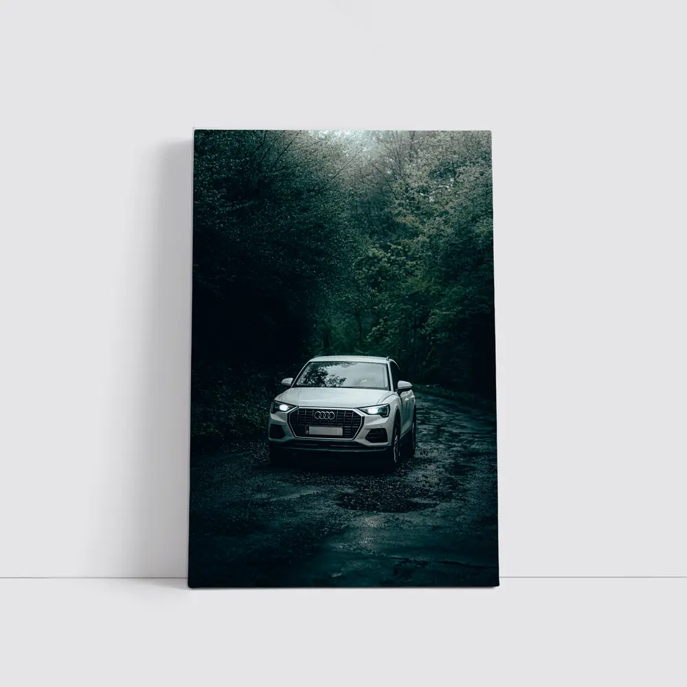 Audi Q3 SUV Dark Forest Road – Wall Art