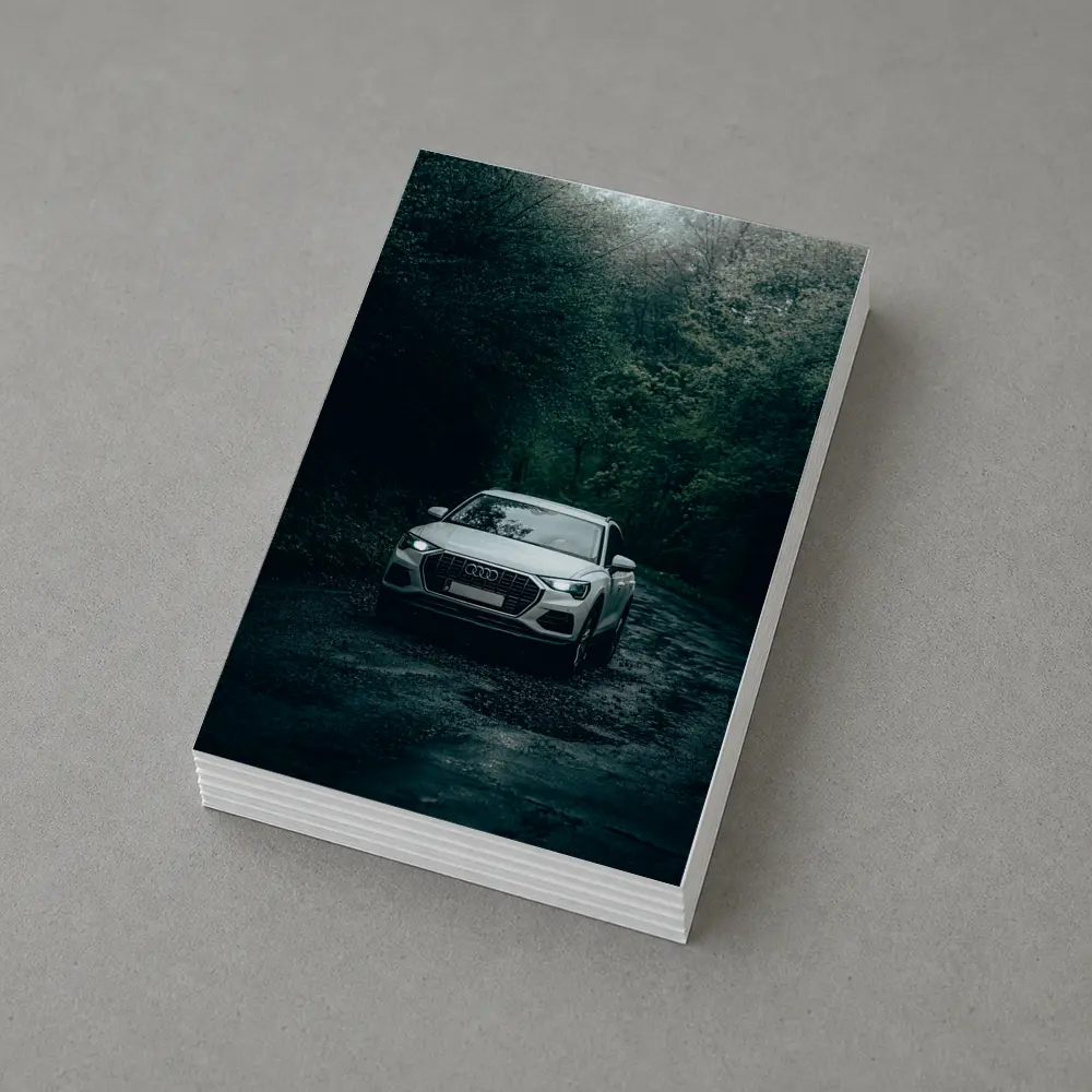 Audi Q3 SUV Dark Forest Road – Postcards