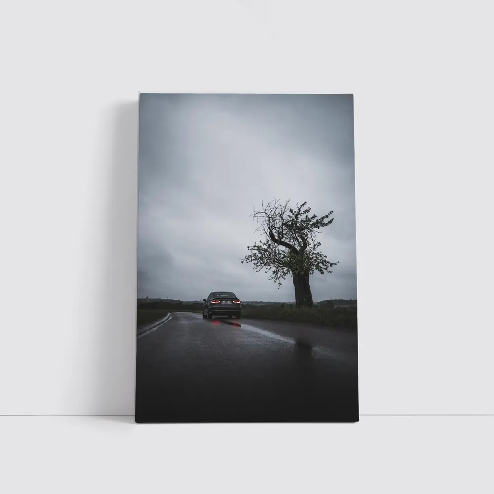 Audi Sedan Rainy Road Moody Gray Sky – Wall Art