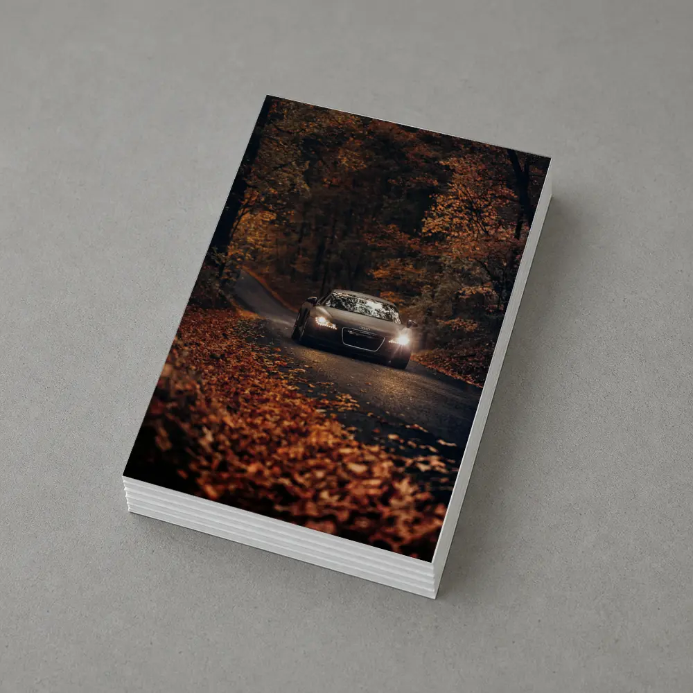 Audi R8 on Dark Autumn Forest Road – Postcards