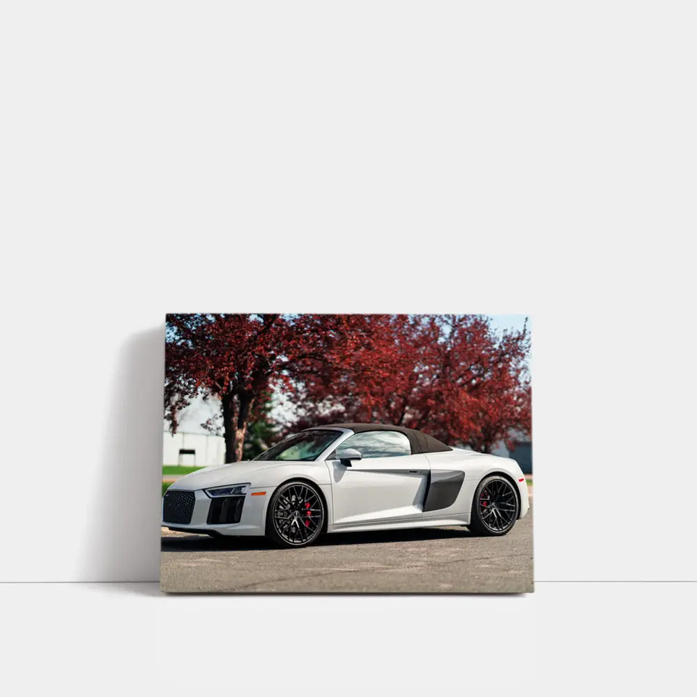 Audi R8 Spyder White Supercar Red Trees – Wall Art
