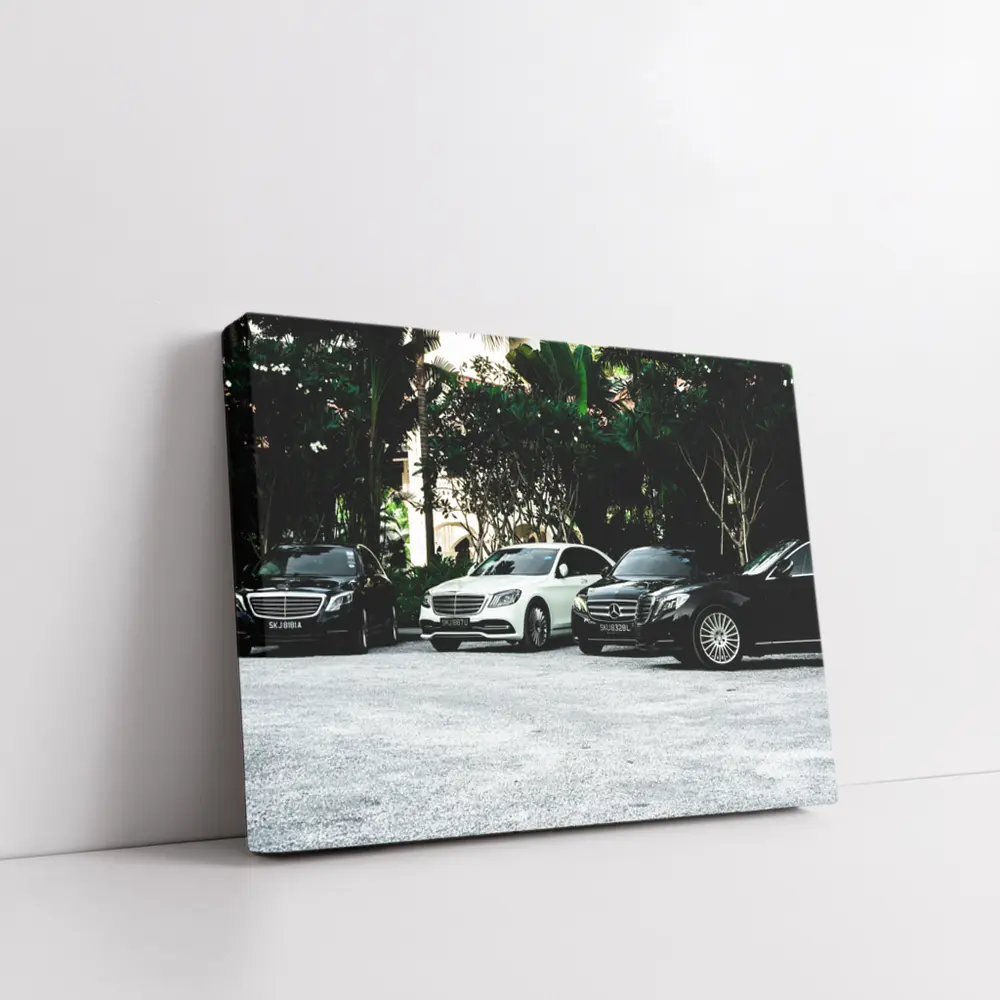Mercedes S Class Fleet Parked Tropical Setting – Wall Art