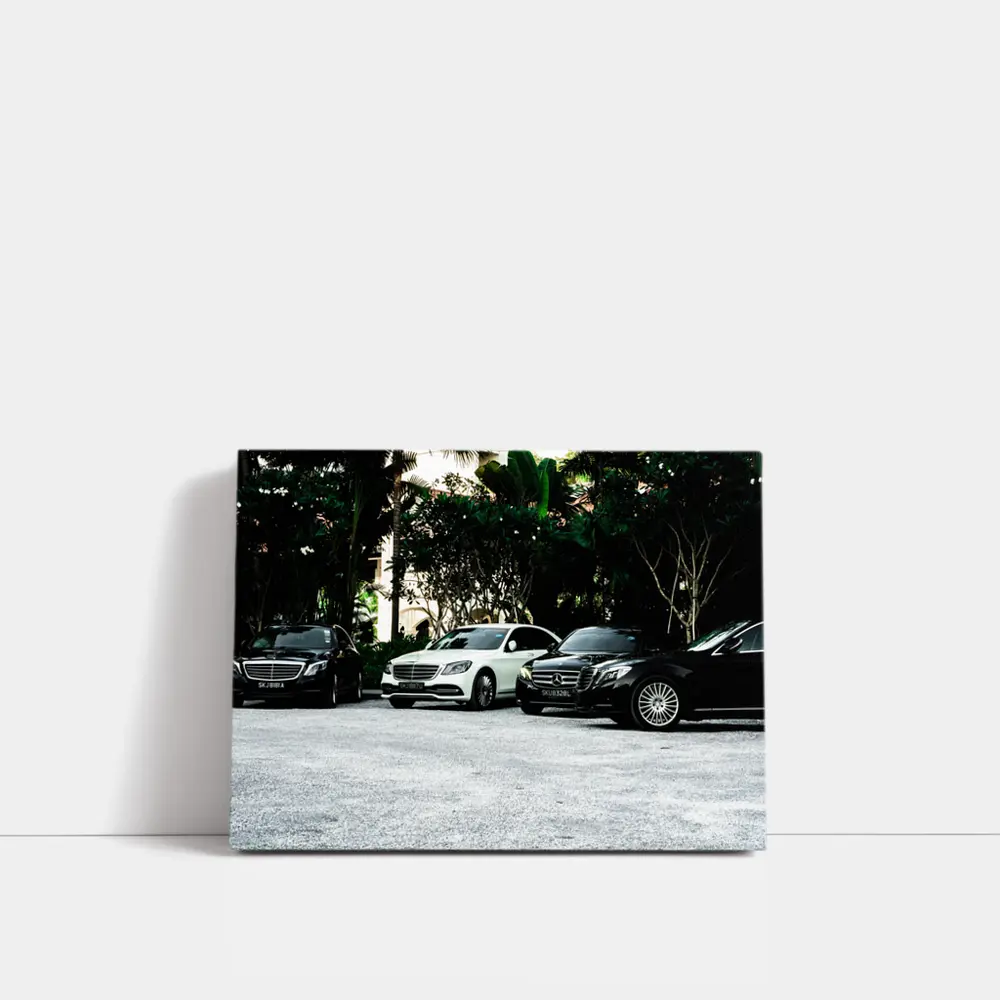 Mercedes S Class Fleet Parked Tropical Setting – Wall Art