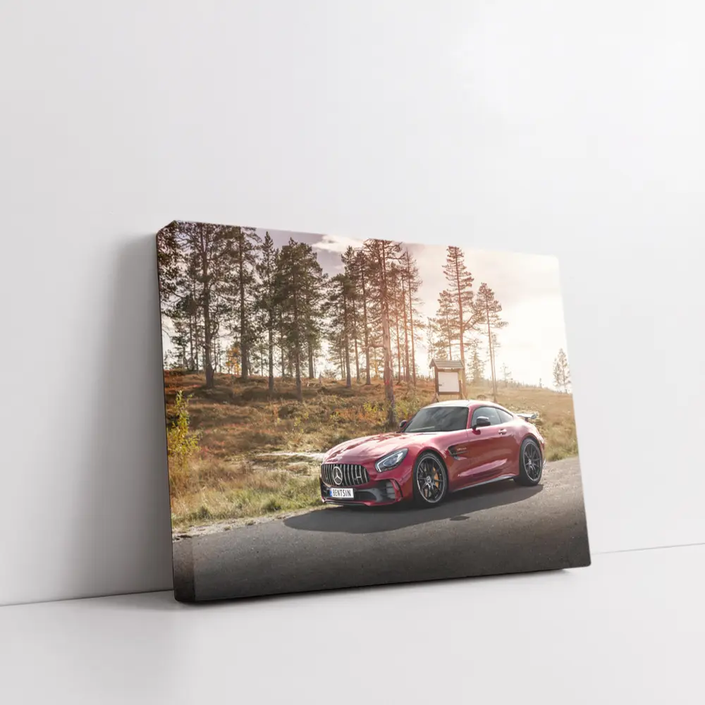 Mercedes AMG GT Red Forest Road – Wall Art
