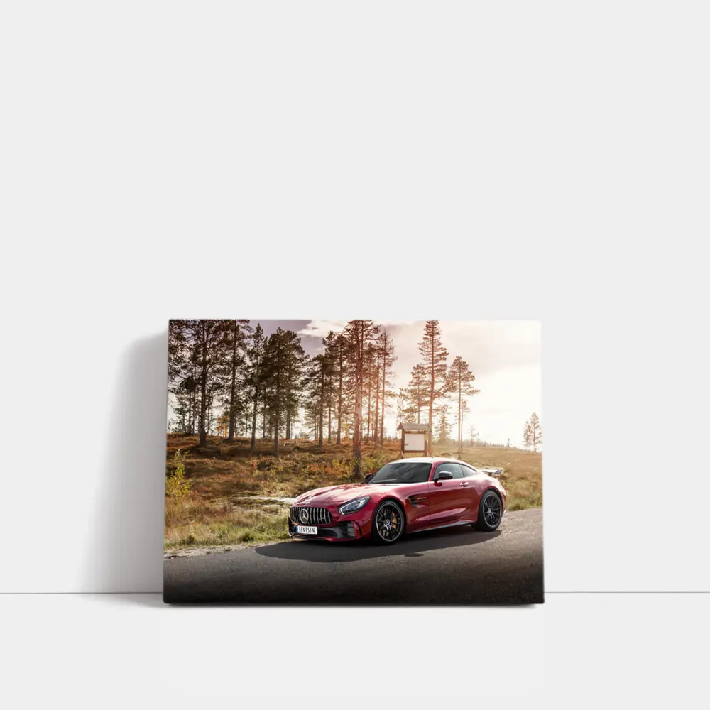 Mercedes AMG GT Red Forest Road – Wall Art