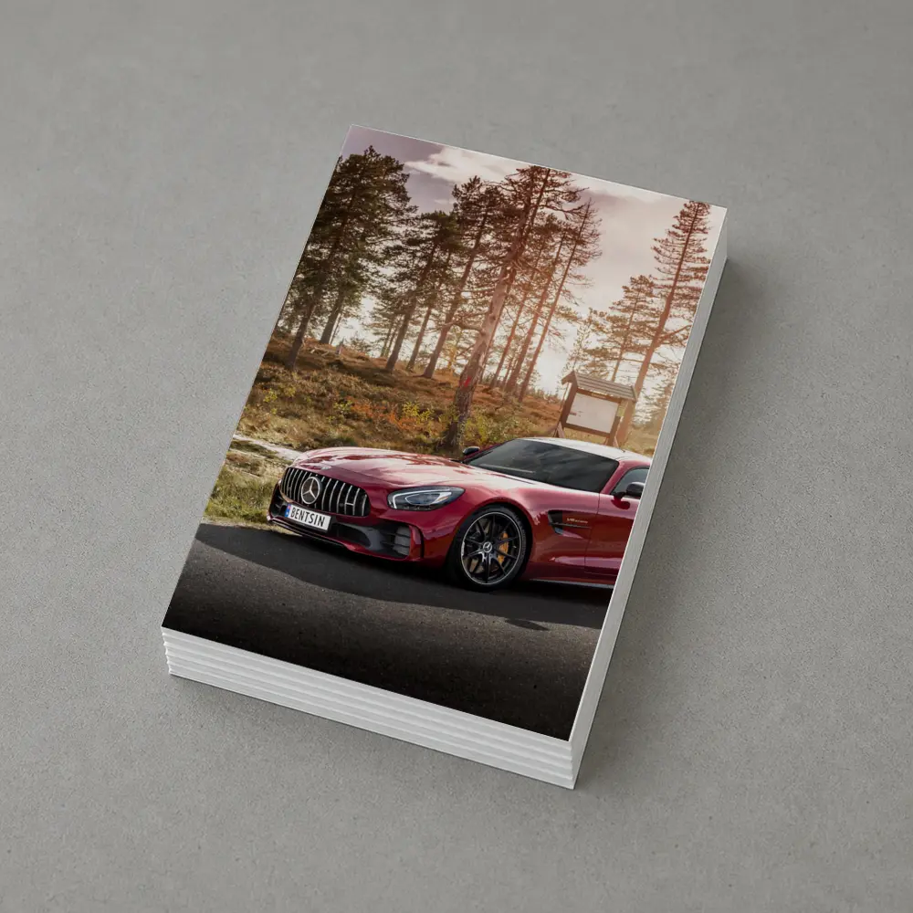 Mercedes AMG GT Red Forest Road – Postcards