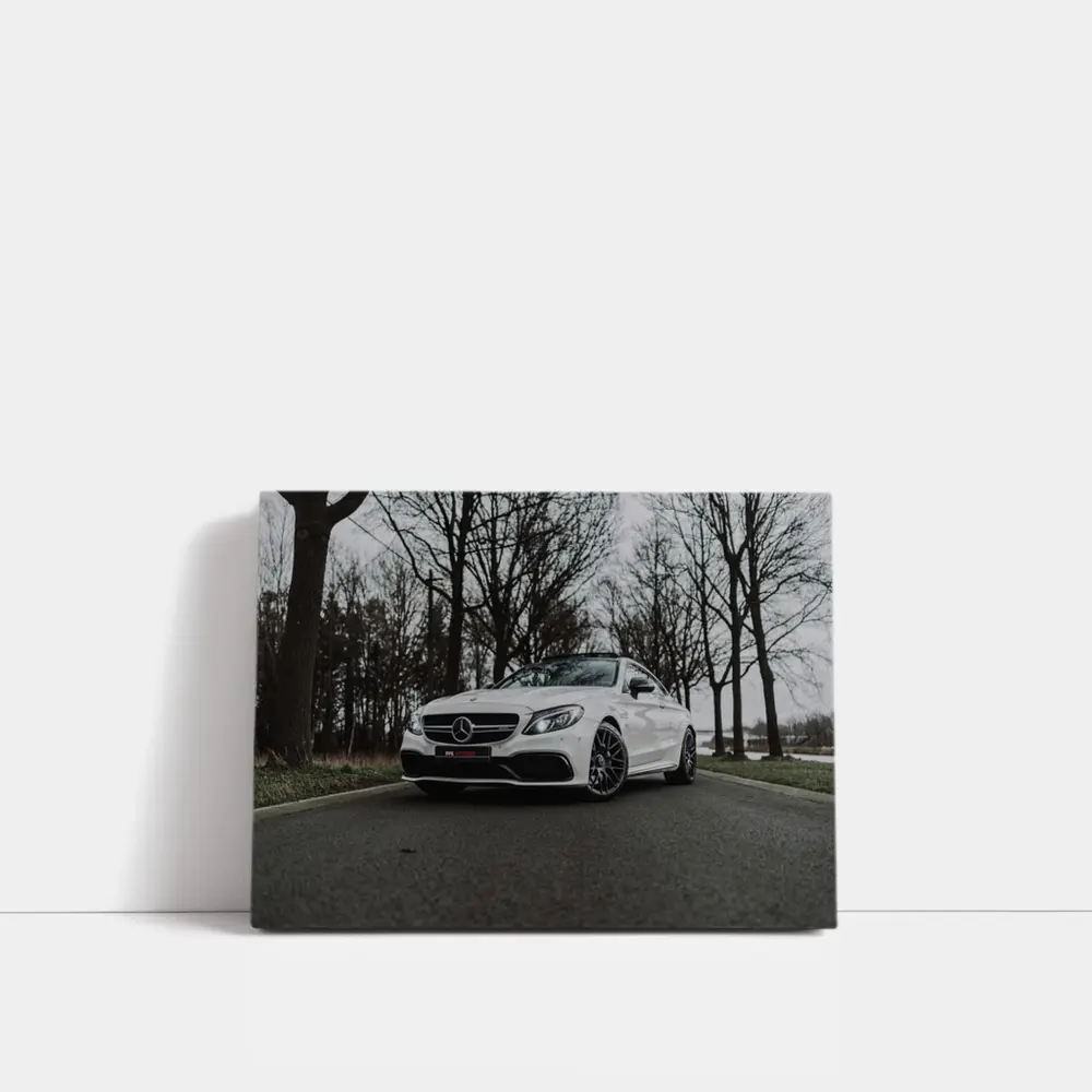 Mercedes AMG C63 White Road Trees – Wall Art