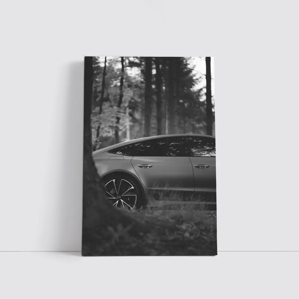 Tesla Model Y Black and White Forest – Wall Art