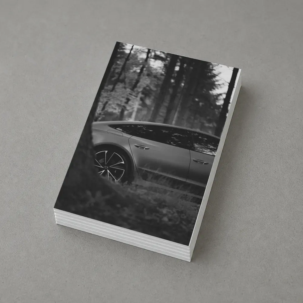 Tesla Model Y Black and White Forest – Postcards