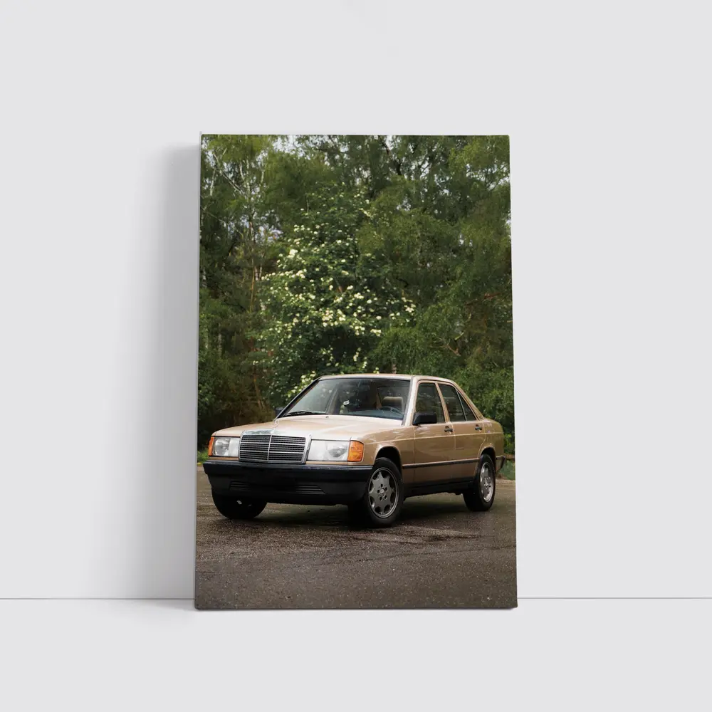 Mercedes 190E Classic Sedan Lush Green Background – Wall Art