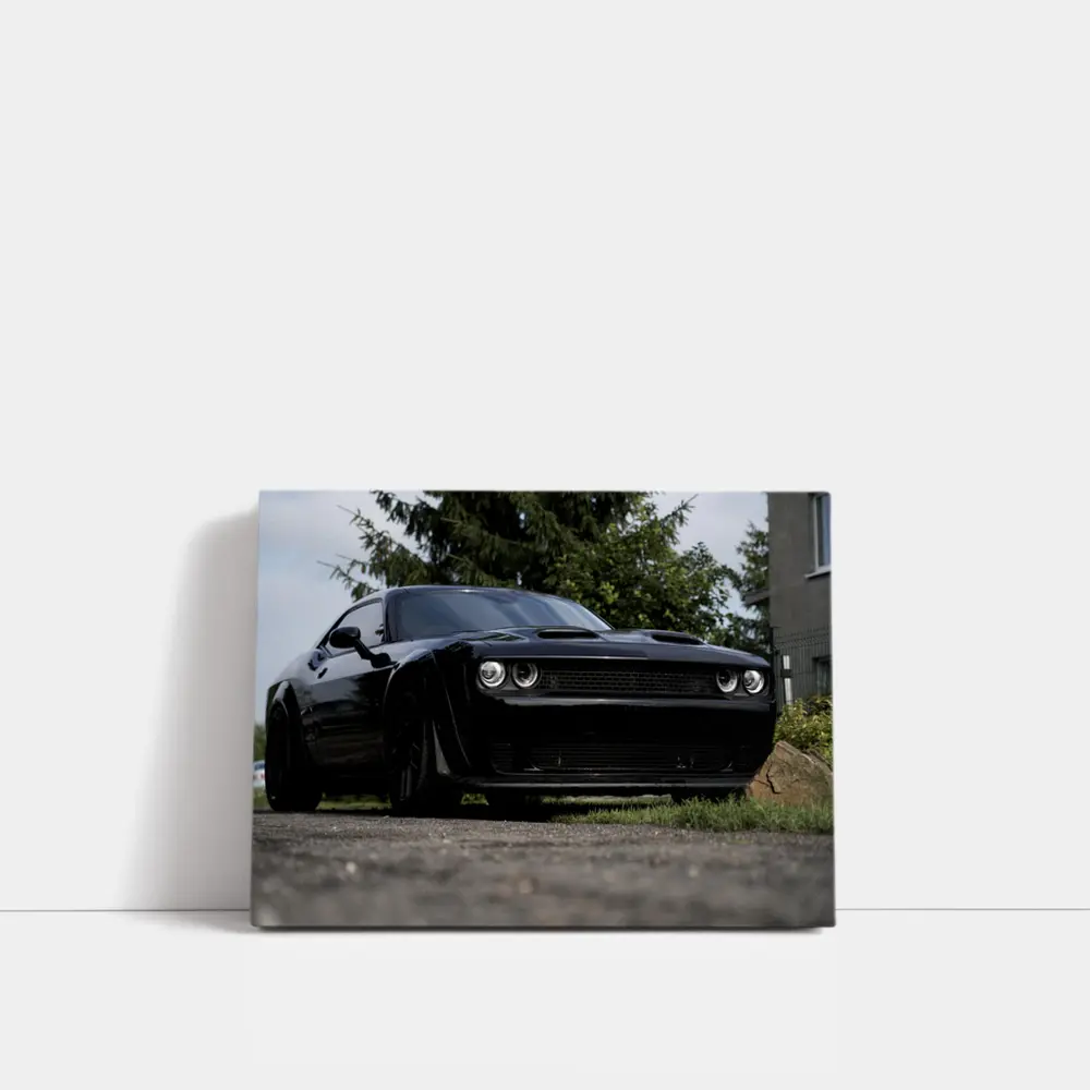 Black Dodge Challenger Parked On Street – Wall Art