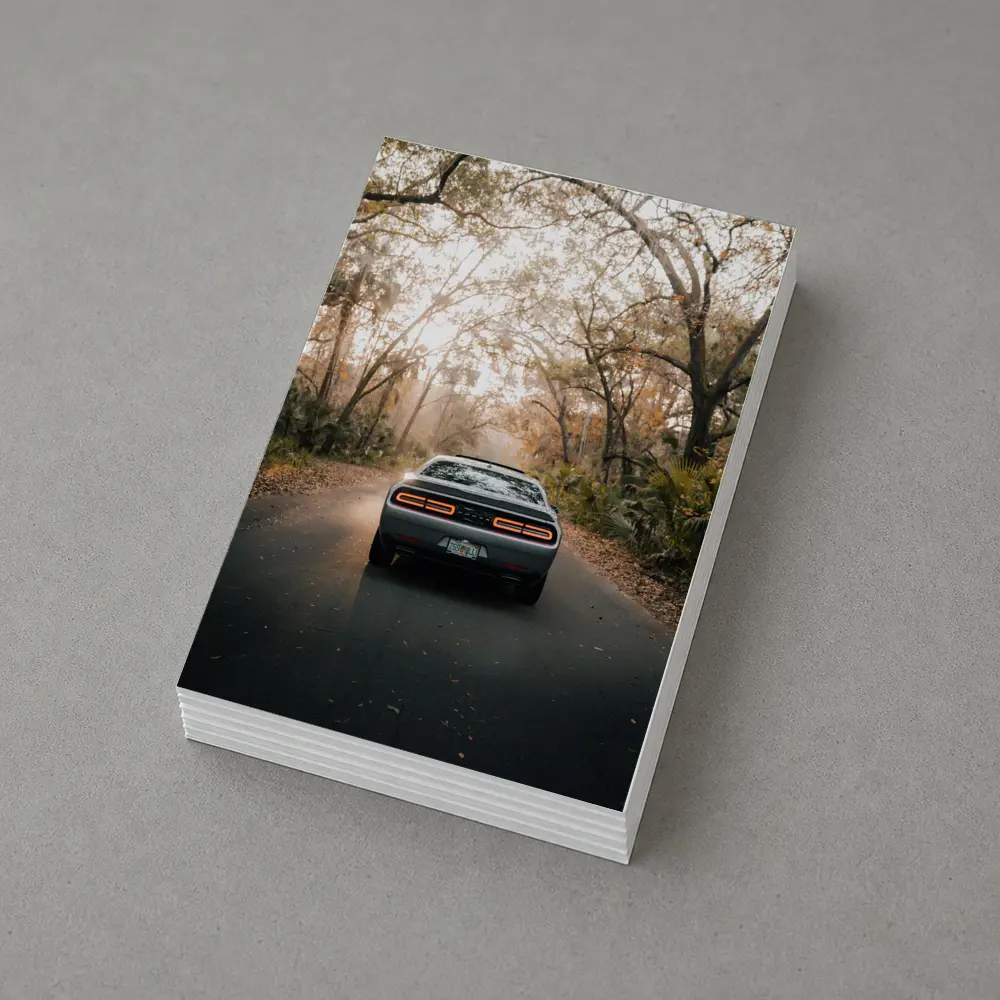 Dodge Challenger Rear View Forest Road – Postcards
