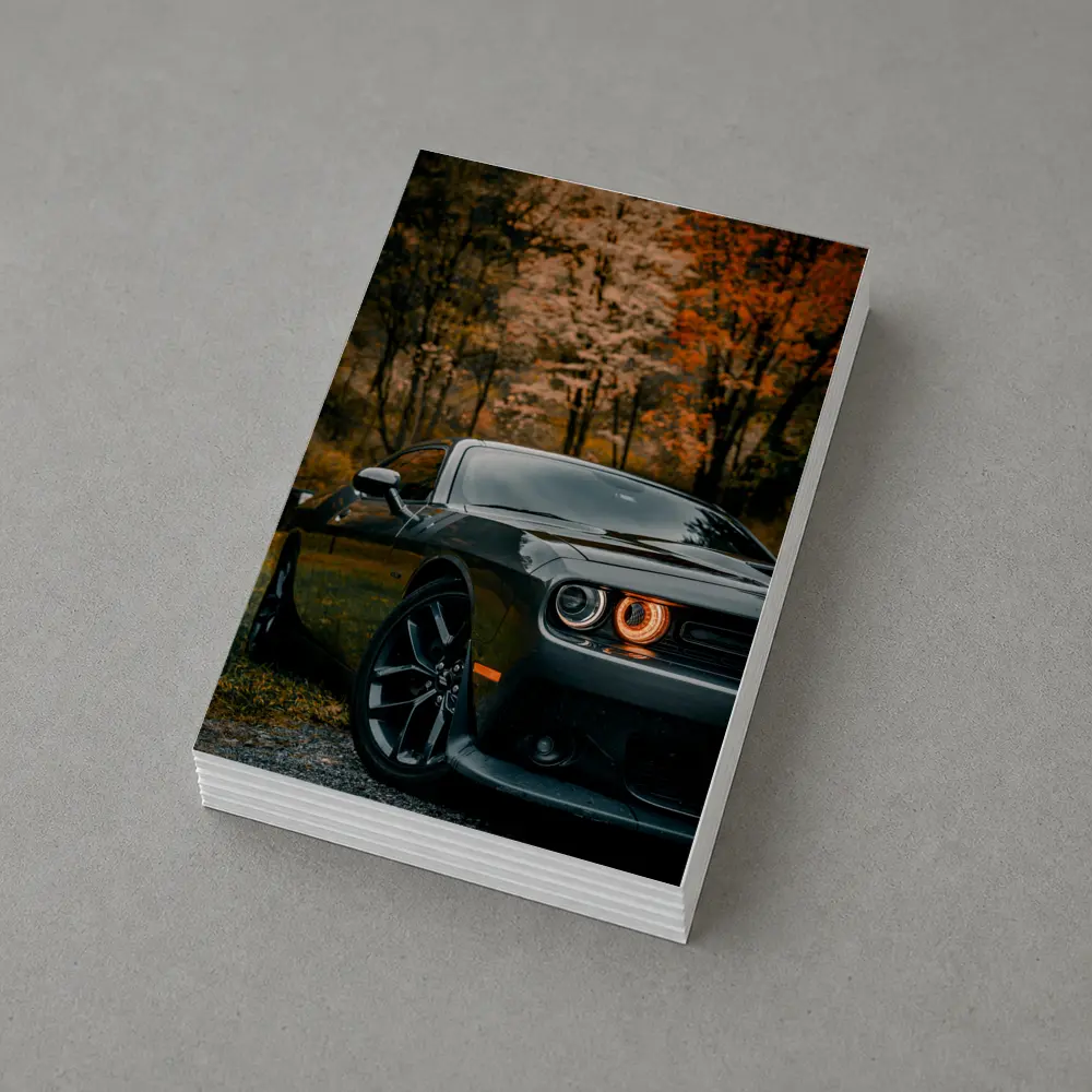 Dodge Challenger Dark Gray Autumn Forest – Postcards
