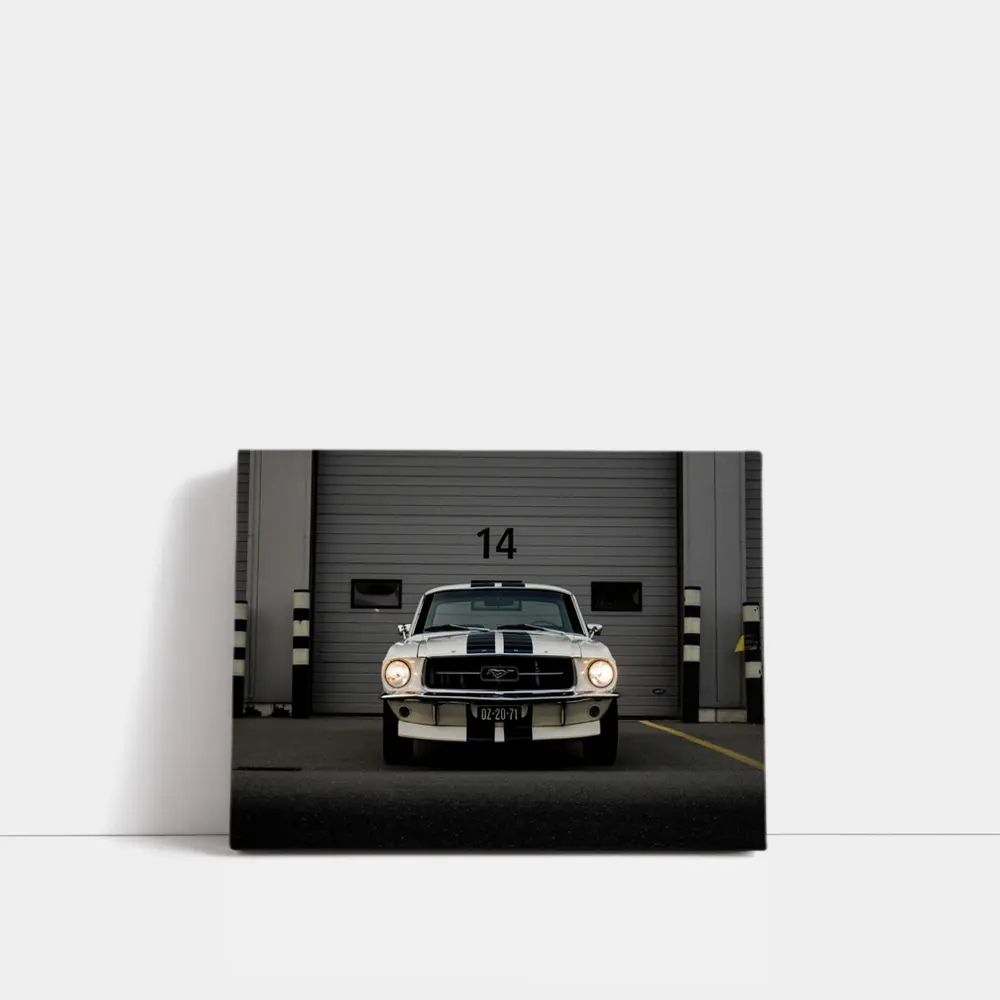 Ford Mustang Classic White Racing Stripes Garage – Wall Art