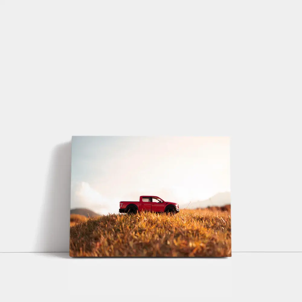 Red Ford F-Series Truck Golden Grass Field – Wall Art