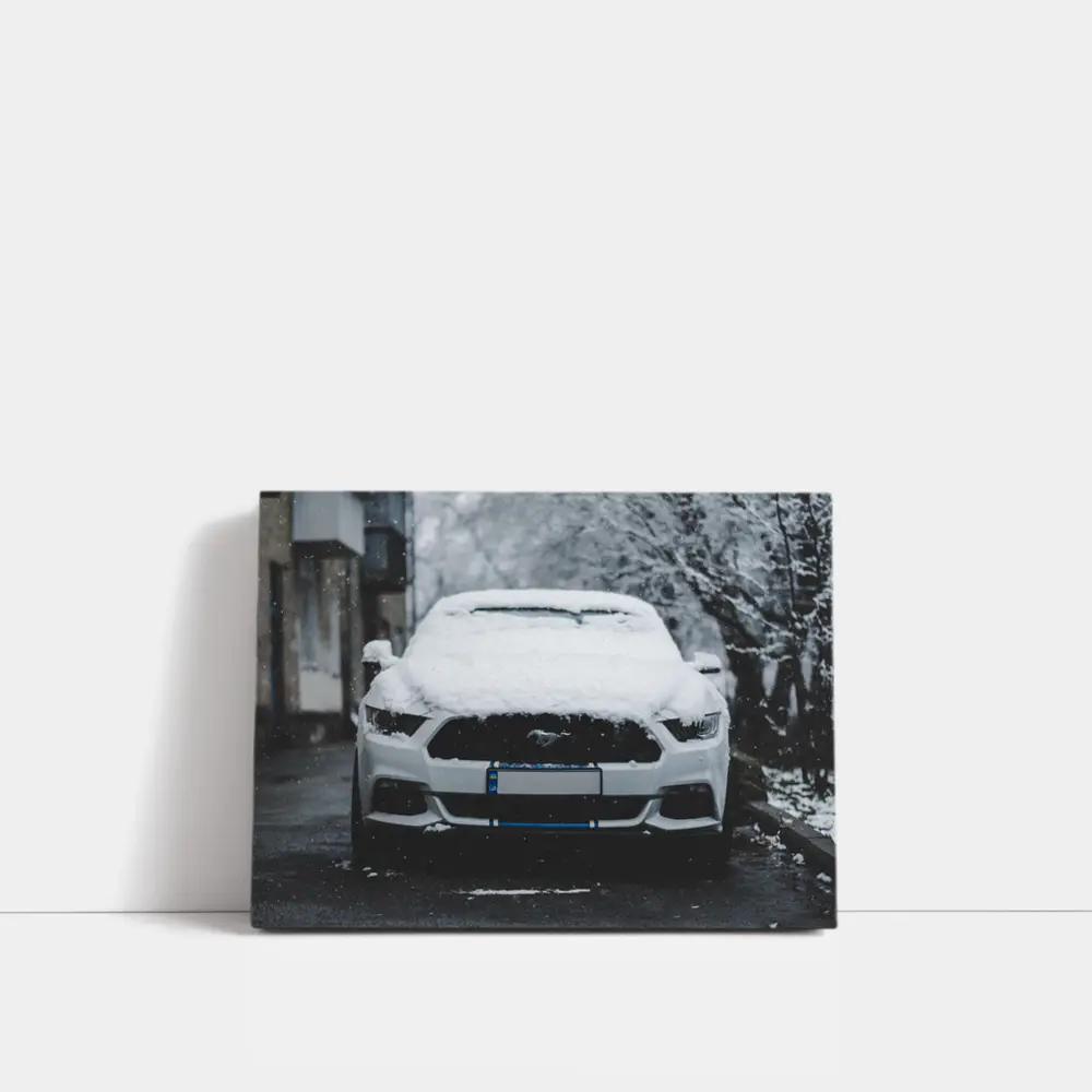 Ford Mustang White Snow Winter Street – Wall Art