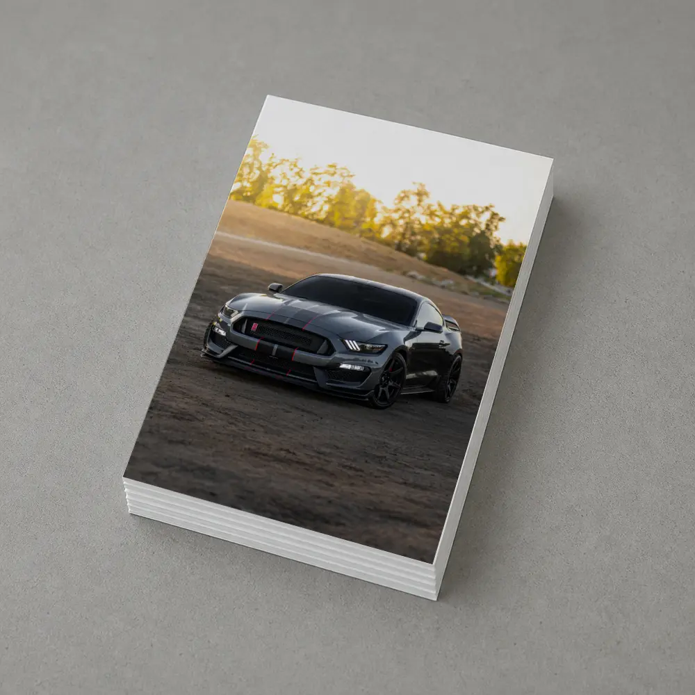Ford Mustang Shelby GT350 Dirt Road Sunset – Postcards