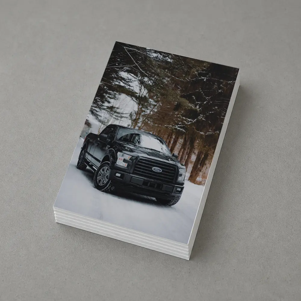 Ford F-Series Black Truck Snowy Forest – Postcards