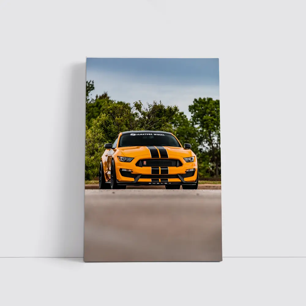 Ford Mustang Shelby GT350 Orange Street Shot – Wall Art