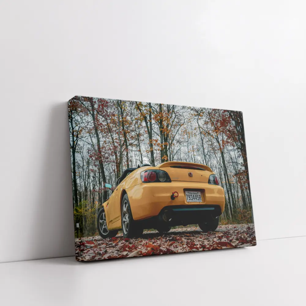 Honda S2000 Yellow Sports Car Autumn Forest – Wall Art