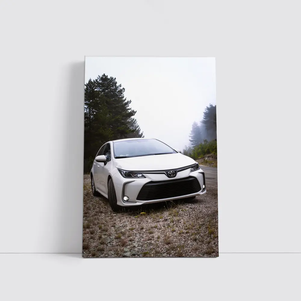 Toyota Corolla White Sedan Misty Forest Road – Wall Art