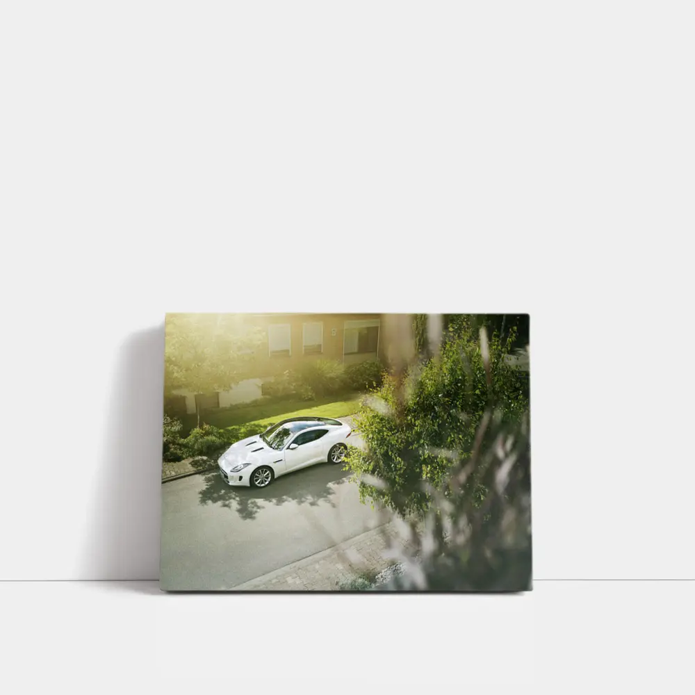 White Jaguar F-Type Coupe Suburban Driveway – Wall Art