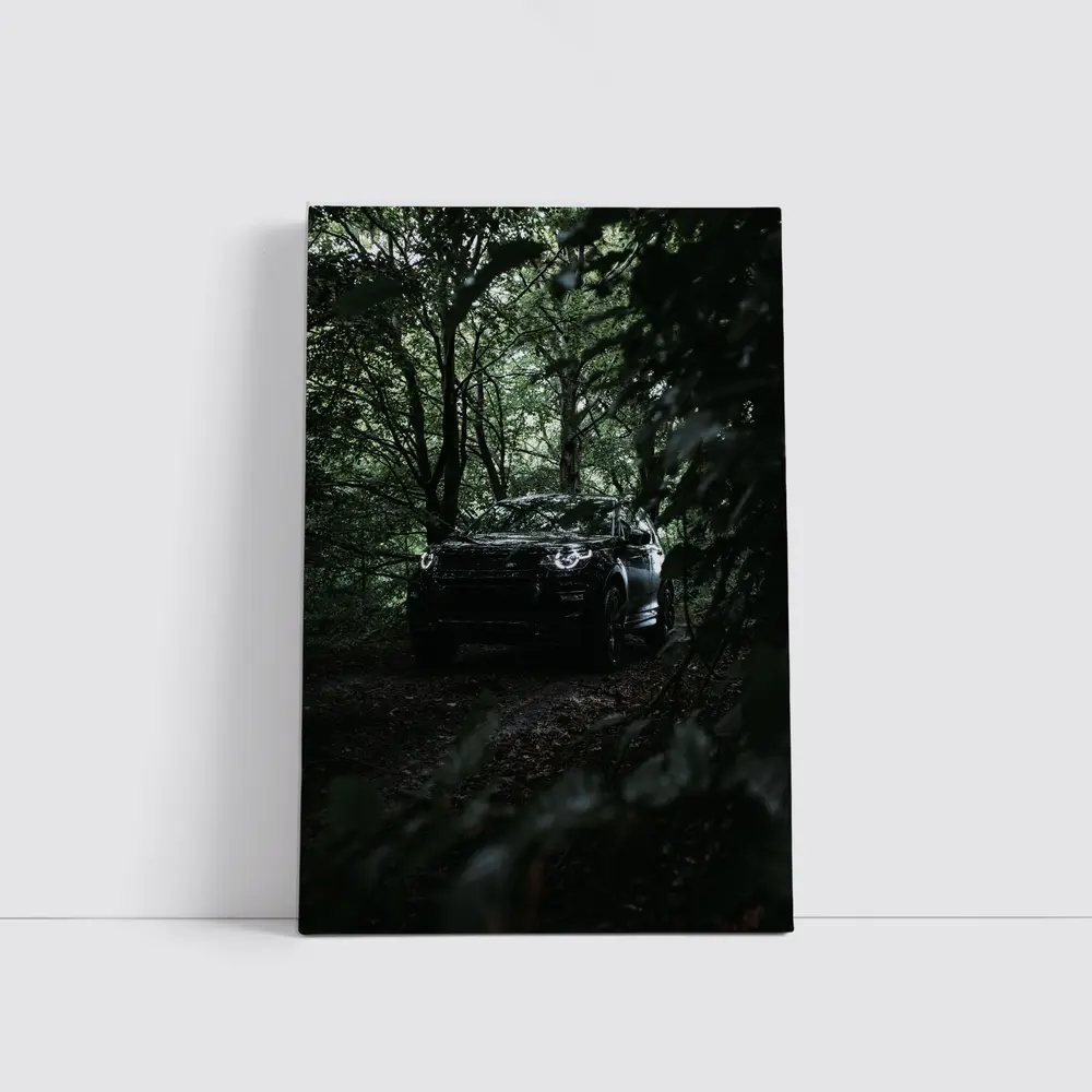 Land Rover Discovery Dark Forest Trail – Wall Art