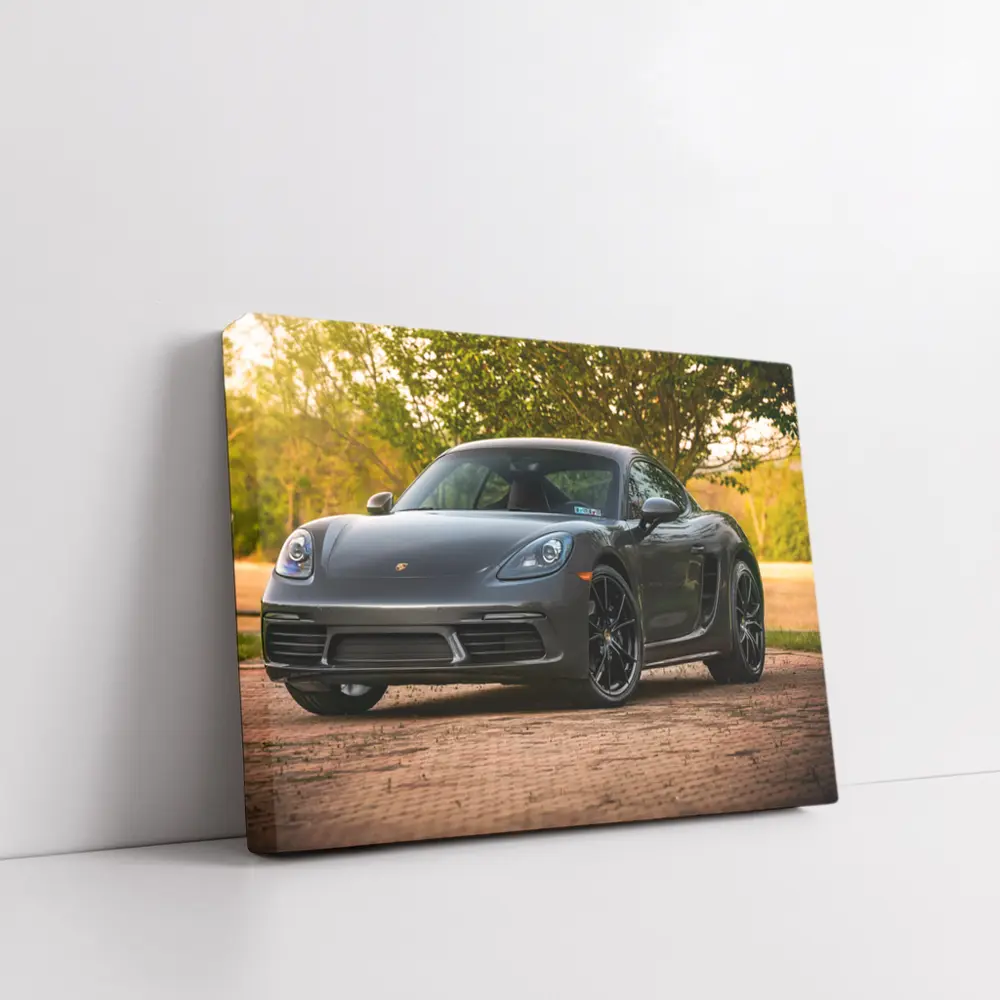 Porsche Cayman Gray Coupe Summer Trees – Wall Art