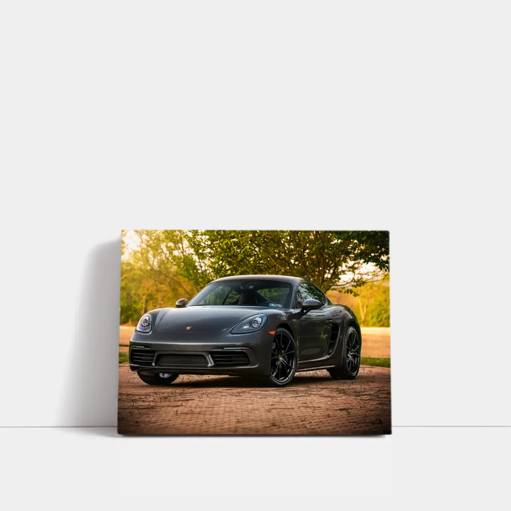 Porsche Cayman Gray Coupe Summer Trees – Wall Art
