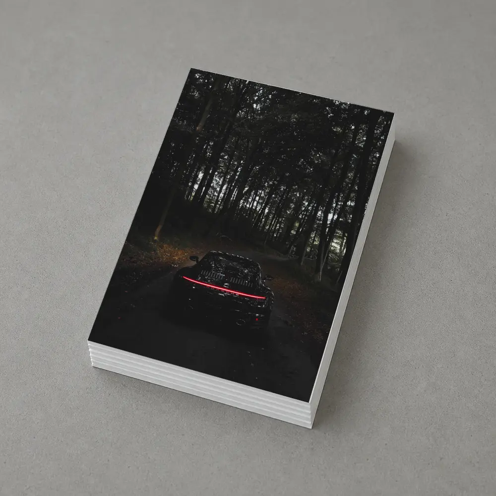 Porsche Taycan Black In Dark Forest – Postcards