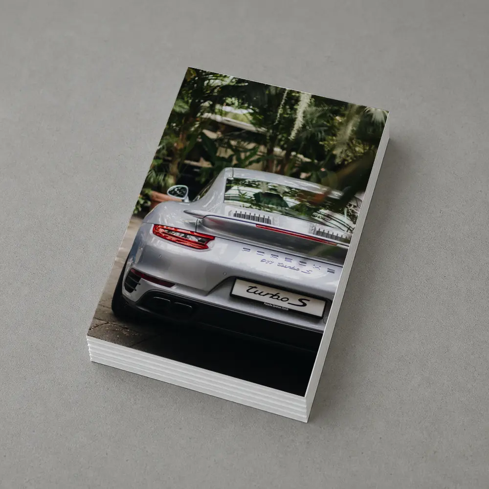 Porsche 911 Turbo S Silver Rear Garden – Postcards