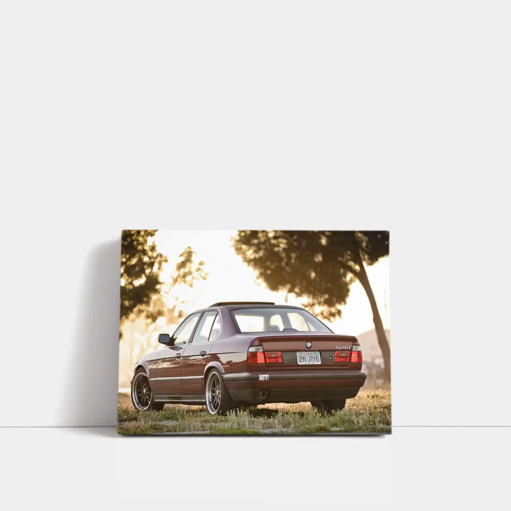 BMW E34 525i Sedan Golden Hour Park – Wall Art