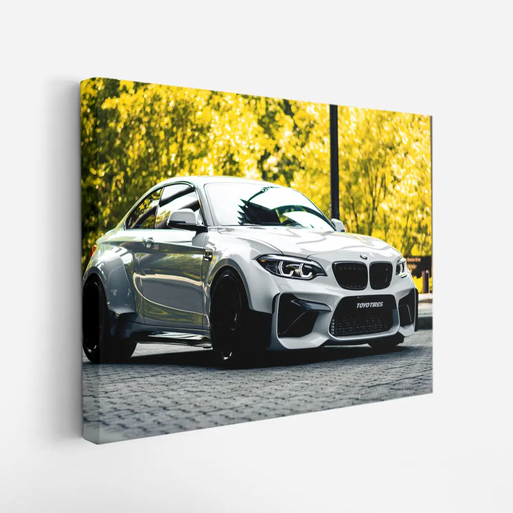 BMW M2 White Coupe Autumn Street – Wall Art