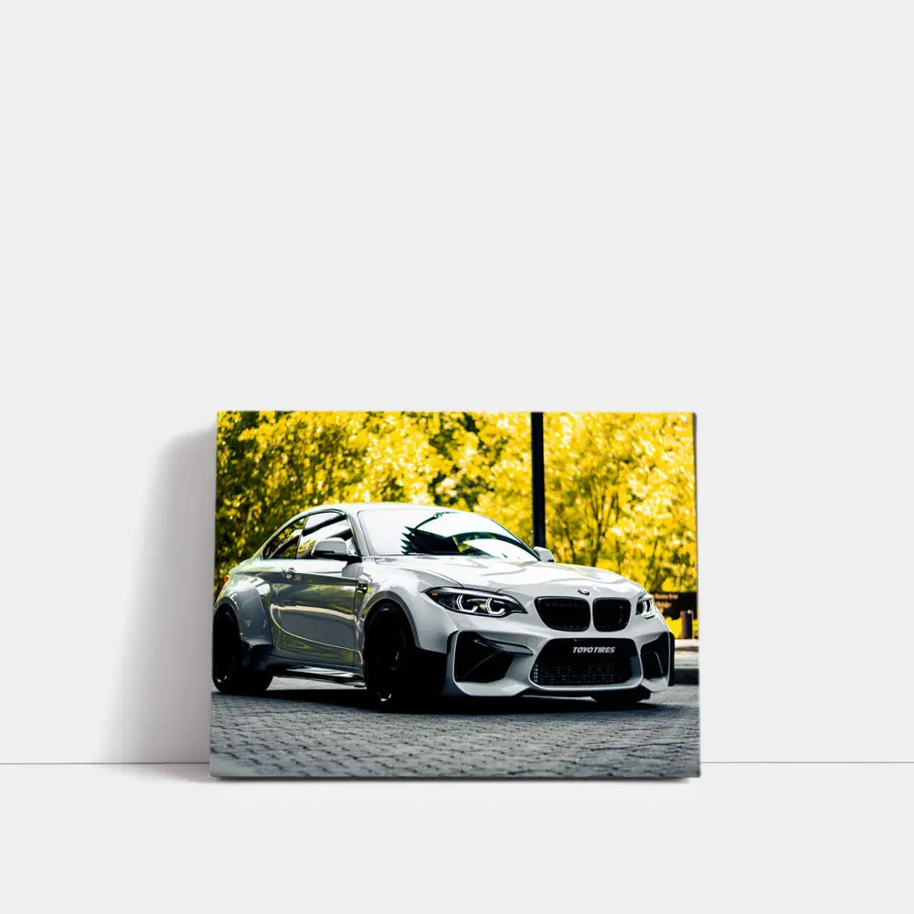 BMW M2 White Coupe Autumn Street – Wall Art
