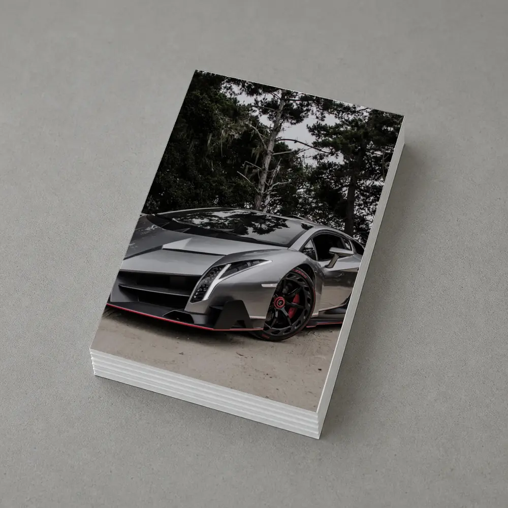 Lamborghini Veneno Gray Supercar Forest Road – Postcards
