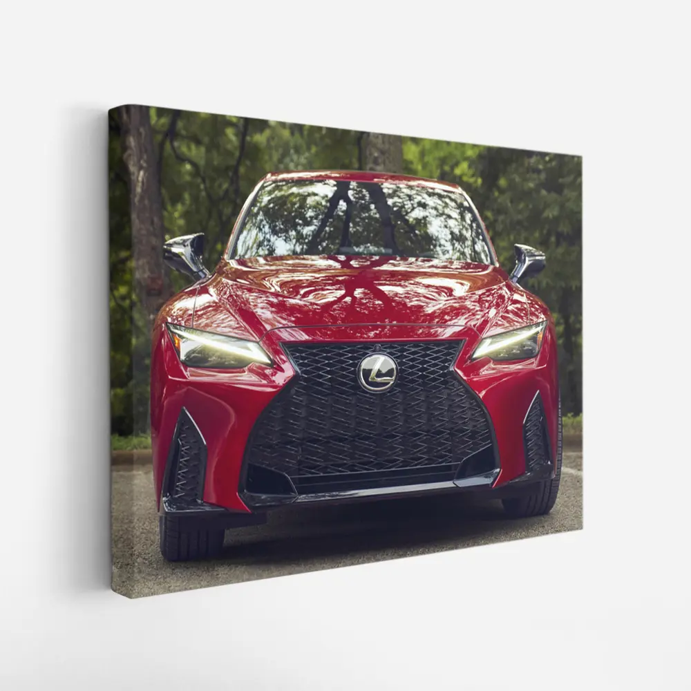 Lexus IS Front View Forest Background – Wall Art