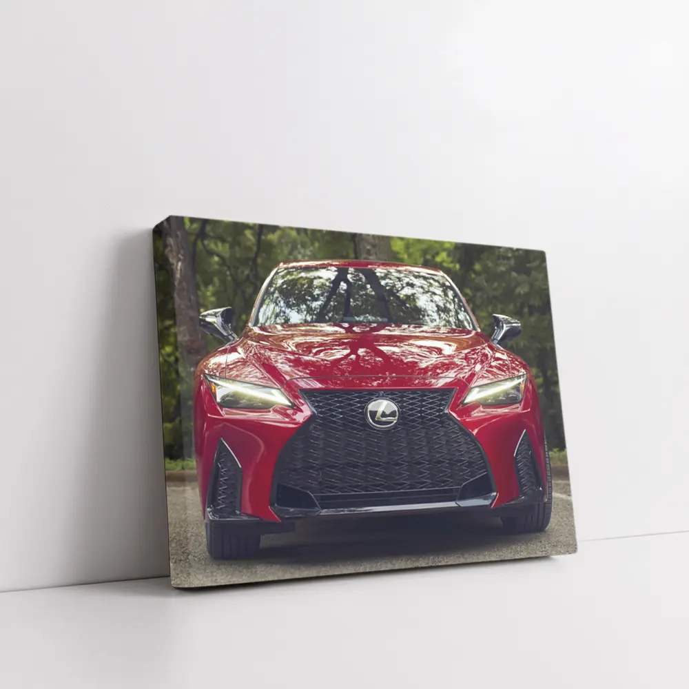 Lexus IS Front View Forest Background – Wall Art