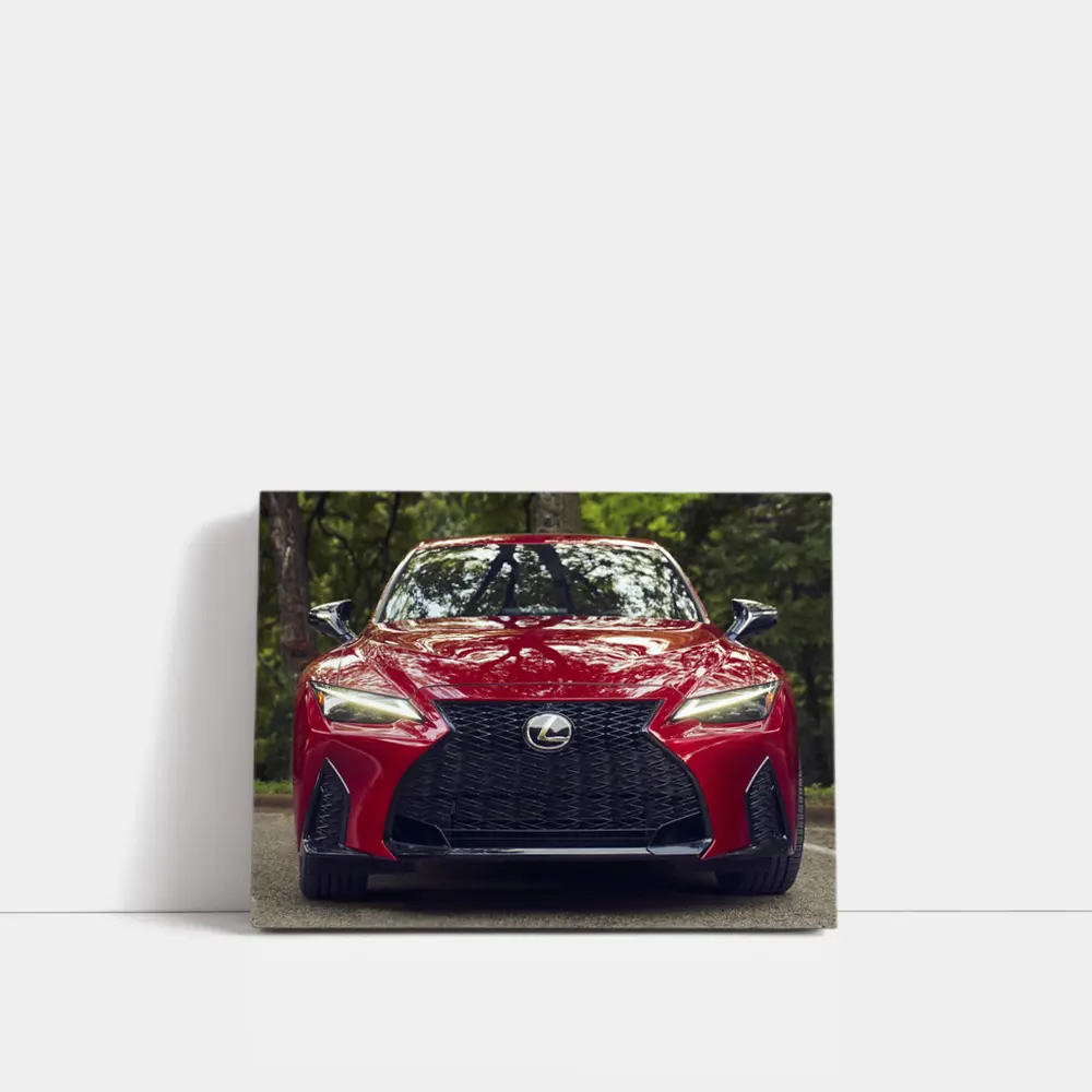 Lexus IS Front View Forest Background – Wall Art